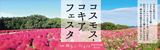 コスモス・コキアフェスタ | 開催日時：2024年10月5日（土曜日）から11月4日（月曜日・祝日） | 開催場所：自然文化園花の丘