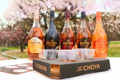 ①CHOYA