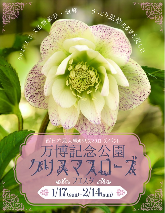 万博 記念 公園 イベント 万博記念公園で Osaka Genki Park 開催 5つのステージに約50組出演