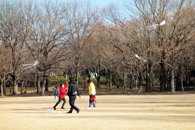 たこを作って上げよう＜要事前申込＞ | 万博記念公園