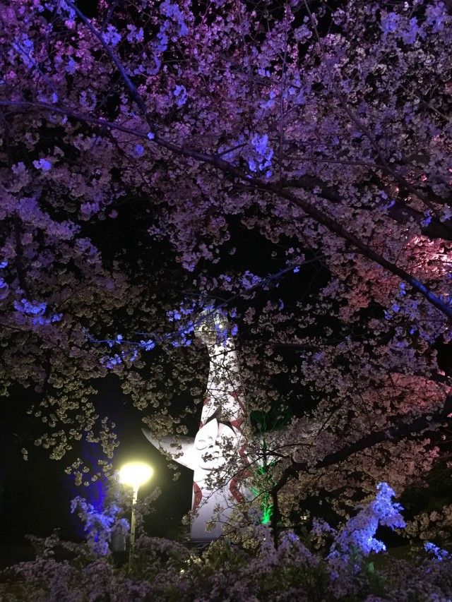 令和2年度 万博記念公園に咲く花の写真コンテスト 作品募集 万博記念公園